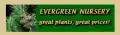 evergreenplantnursery.com